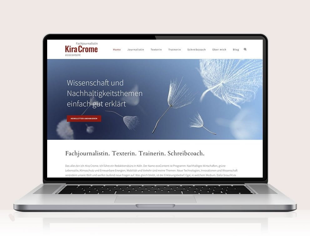 Webdesign designplus Köln Referenz - Responsive Website für ecocontent Kira Crome