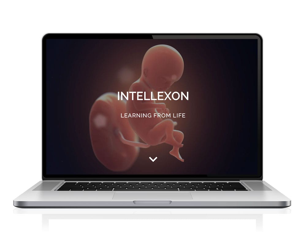 Webdesign designplus Köln Referenz - Responsive Website für Intellexon Pharma-Entwicklung