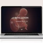 Webdesign designplus Köln Referenz - Responsive Website für Intellexon Pharma-Entwicklung